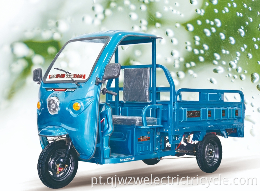 Pint-sized Easy Shed Electric Tricycle